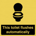 this-toilet-flushes-automatically~